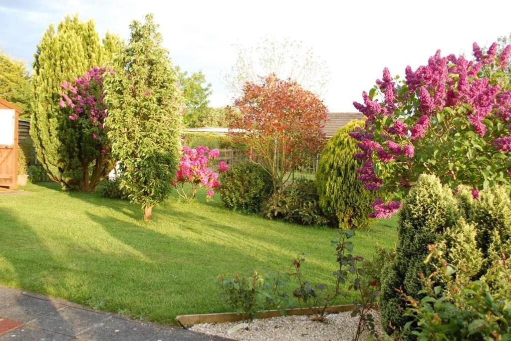 Apartamento Mews With Garden Views Carlow Exterior foto